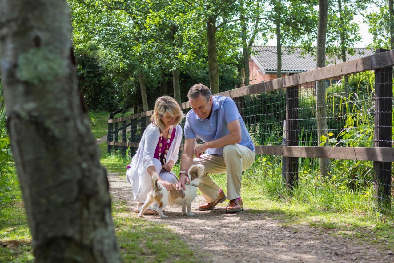 Rookley Country Park Hotel Exterior foto Visitors at the park