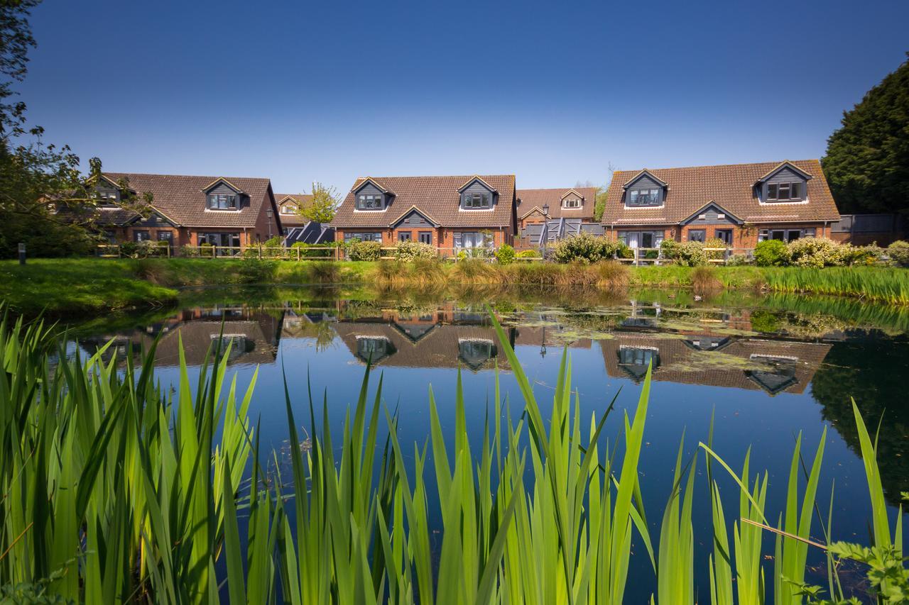 Rookley Country Park Hotel Exterior foto